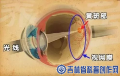 ��רί��֮������äɱ�֡����ư߲���