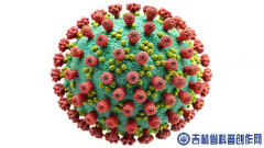 Ů�Խ����ġ�����ɱ�֡�����HPV